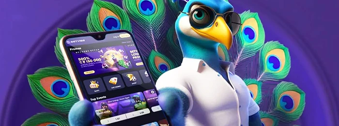 betvibe set feature image